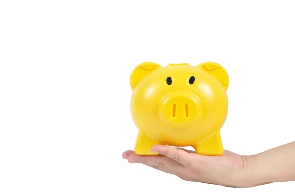 Yellow piggy bank on man hand isolated on white background, clip — Stock Photo, Image