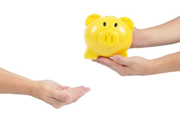 Piggy bank amarelo na mão homem isolado no fundo branco, clip — Fotografia de Stock