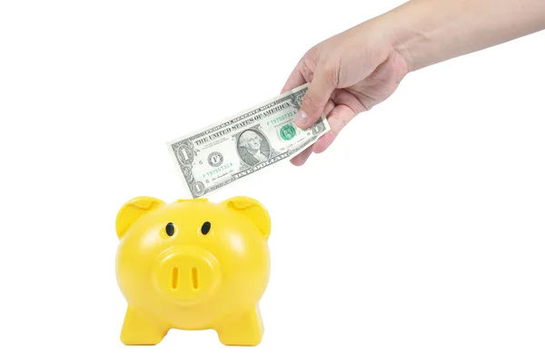 Man hand putting money in to yellow piggy-bank, business concept — Stock Photo, Image