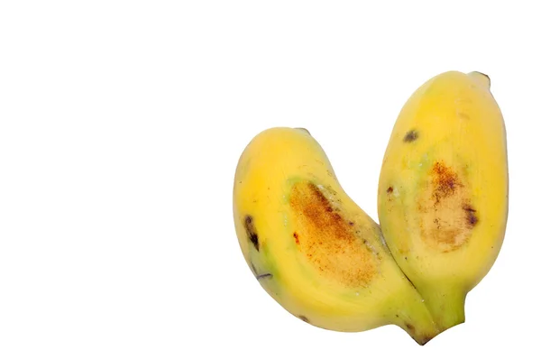 Двойные культивируемые бананы — стоковое фото
