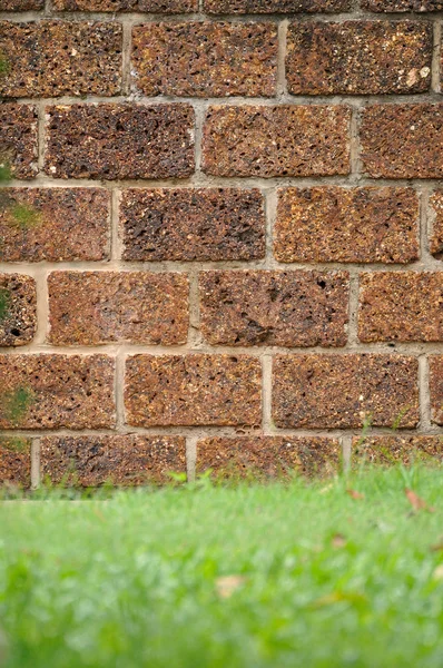 Mur de briques avec des herbes — Photo