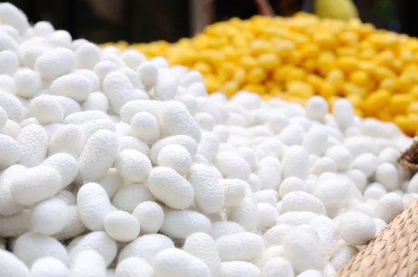 Many cocoons silkworms — Stock Photo, Image