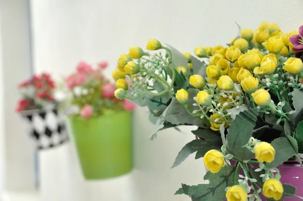 Flower pots hanging on wall — Stock Photo, Image