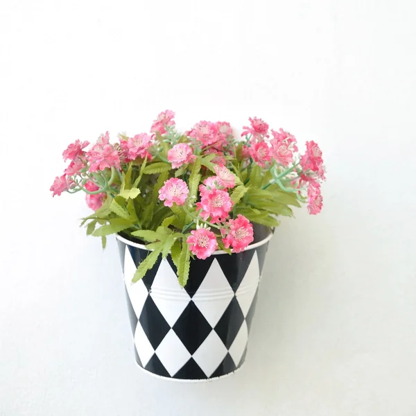 Flower pot hanging on wall — Stock Photo, Image