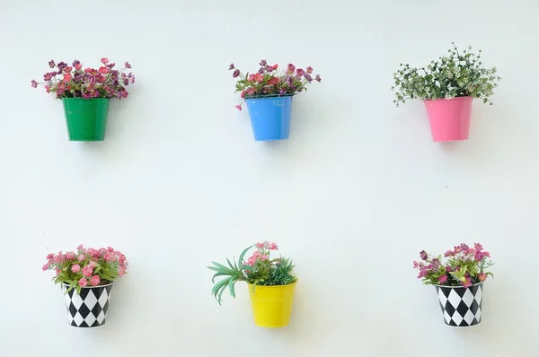 Modern flower pots hanging — Stock Photo, Image