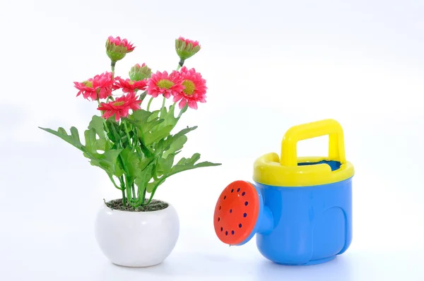 Gieter pot met bloemen en pot — Stockfoto