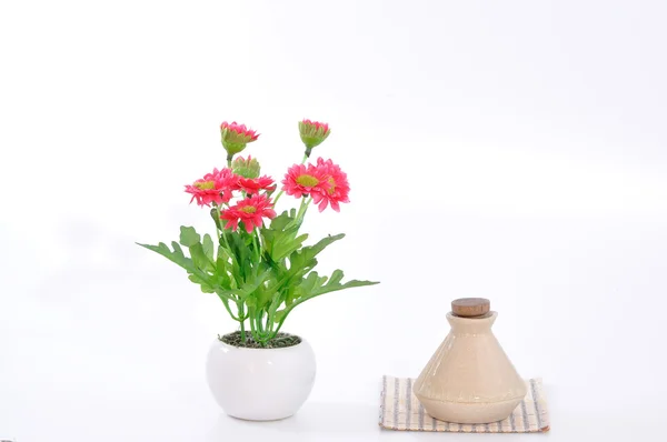 Flower pot with small bottle — Stock Photo, Image