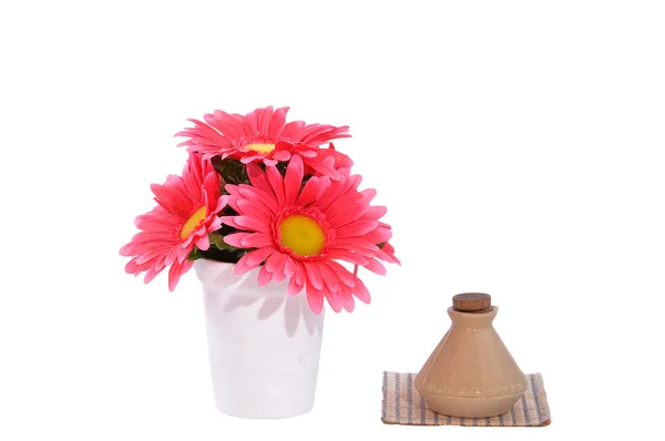 Panela de flor com pequena garrafa — Fotografia de Stock