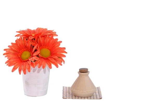 Panela de flor com pequena garrafa — Fotografia de Stock