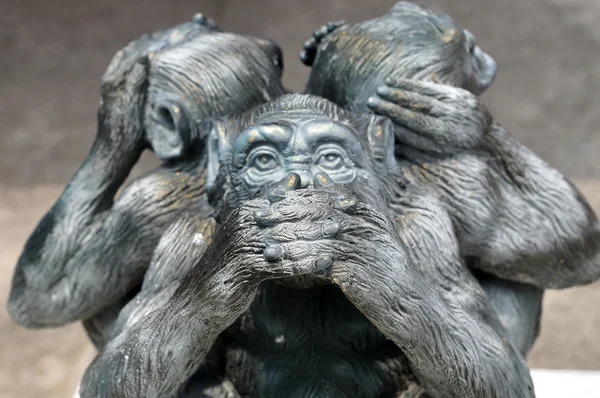 Three wise monkeys — Stock Photo, Image