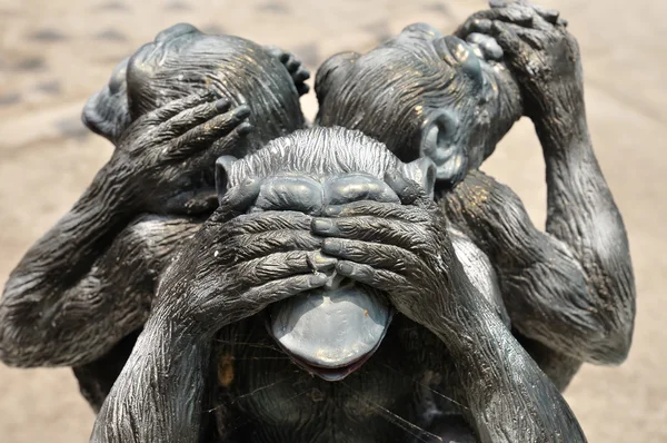Trzy mądre małpy — Zdjęcie stockowe