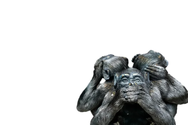 Three wise monkeys — Stock Photo, Image