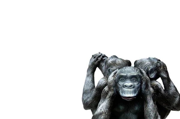 Three wise monkeys — Stock Photo, Image