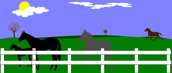 Paard boerderij — Stockvector