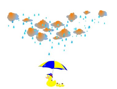 yağmur altında ördek