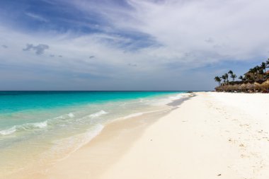 beach in Aruba clipart