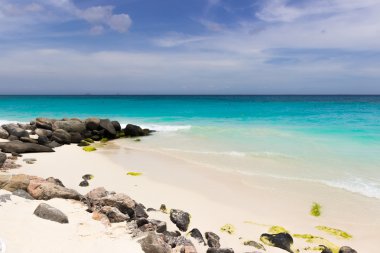 Karayip kıyılarında, Aruba