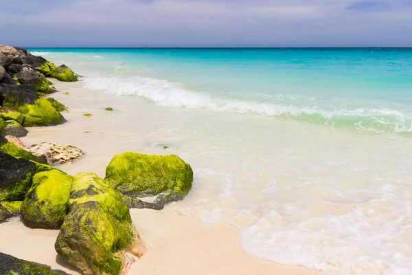 Karibiska kusten, Aruba — Stockfoto