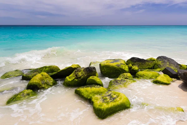 Karibské pobřeží, Aruba — Stock fotografie