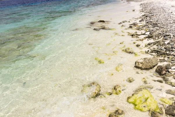Sem nome ilha em Bonaire, costa do Caribe — Fotografia de Stock