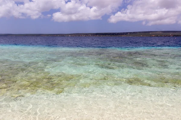 Žádný ostrov jmen v Bonaire, karibské pobřeží — Stock fotografie