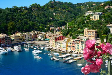                                Güzel Portofino şehri, tipik renkli binaları ve ünlü lüks limanı, Portofino, Liguria, Cinque Terre, İtalya, Avrupa