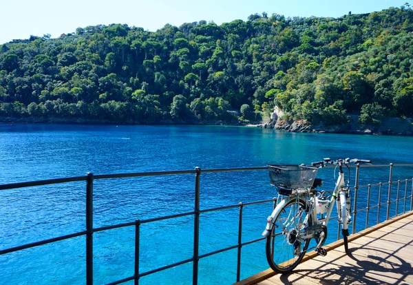 Portofino Yakınlarındaki Bir Turkuaz Bölmede Bisiklet Liguria Talya — Stok fotoğraf