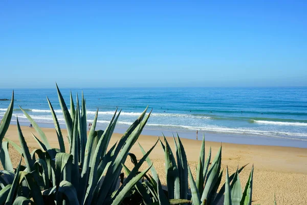 Beach Santa Maria Del Mar Cadiz Spain Andalusia — Stock Photo, Image