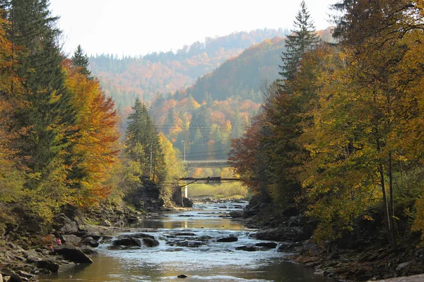 Adegan Sungai Fall — Stok Foto