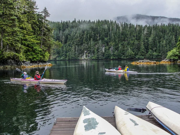 Kayak
