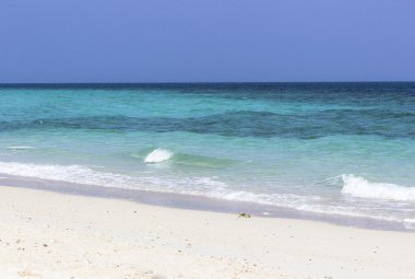 plaj ve tropikal deniz