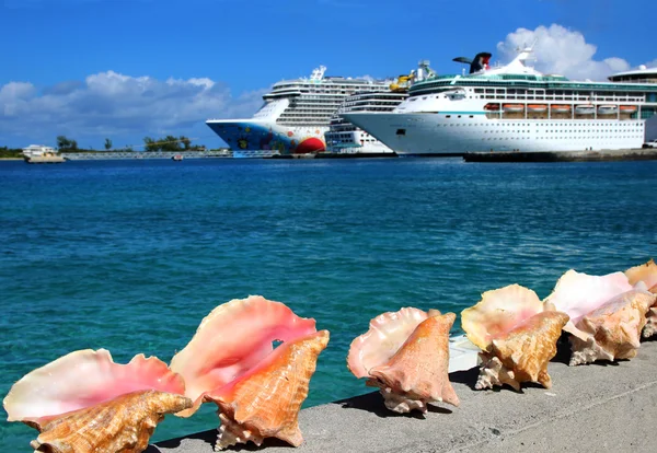 Sea shells and cruise ships at background on September 2015 in port of Nassau, Bahamas — Stock Photo, Image