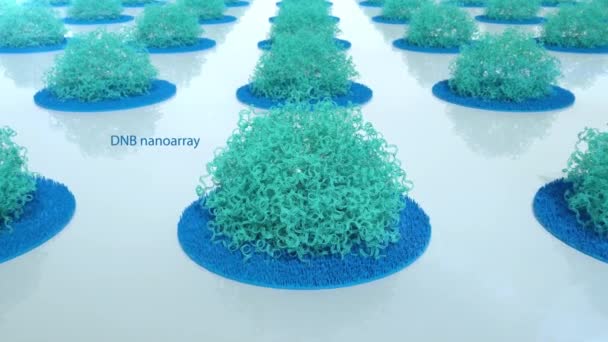 Nanoball Nanoball Sequencing Animation Part — стоковое видео