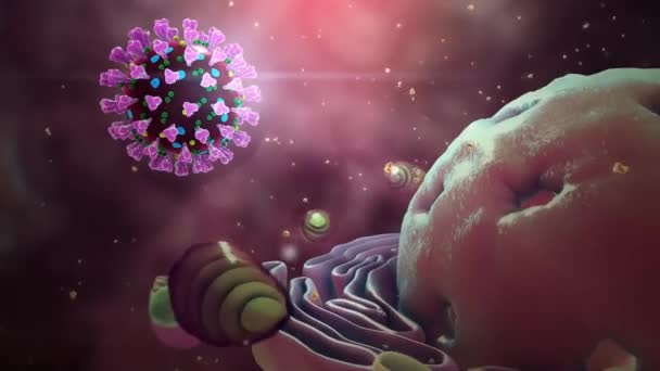 Epidemia Koronawirusa Covid Wyjaśniona Animacja Medyczna Część — Wideo stockowe