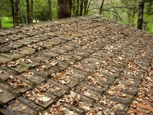 Telhado de azulejos velhos — Fotografia de Stock