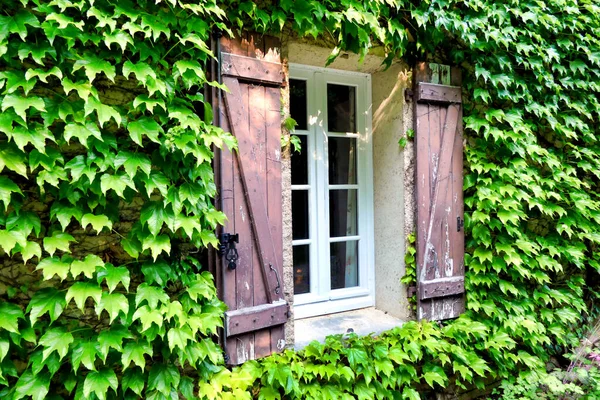 Ventana Tradicional Granja Francesa Con Viejas Persianas Rotas Rodeada Hojas —  Fotos de Stock