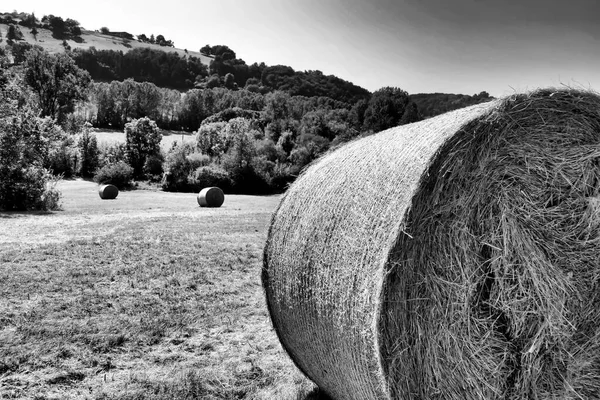 フランスのドードーニュ地方で新たにロールされた干し草の俵の黒と白の写真 — ストック写真