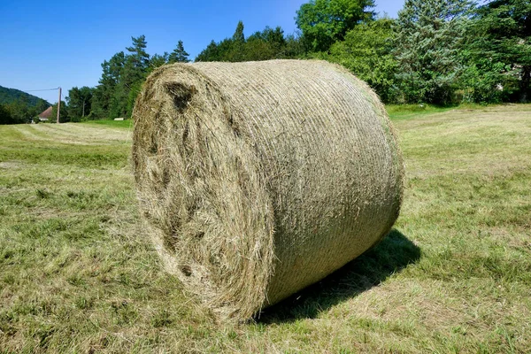 Balla Fieno Appena Rotolata Nella Campagna Della Dordogna Francia — Foto Stock