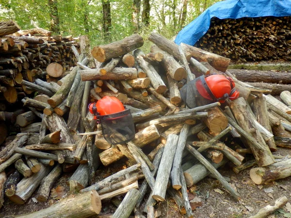 Een Stapel Van Gezaagd Logs Een Bosrijke Clearing — Stockfoto