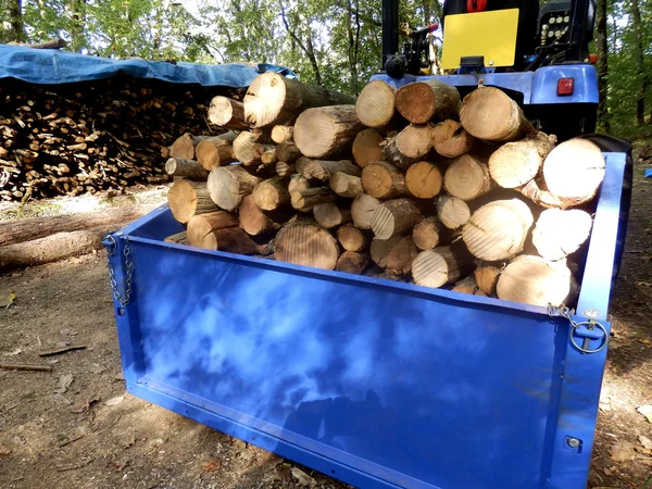 Tractor Bucket Full Sawn Logs Fire — Stock Photo, Image