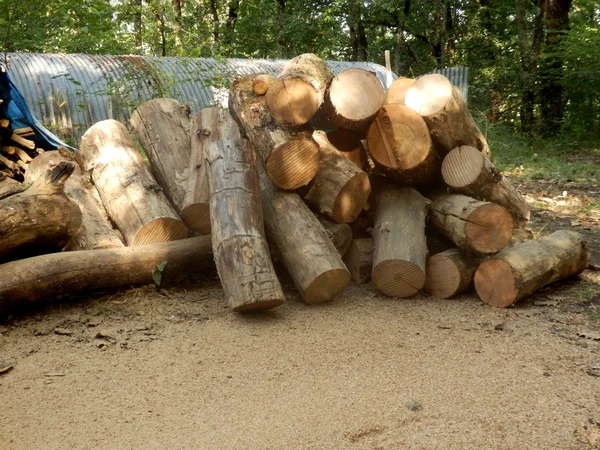 Woodpile — Stock Photo, Image