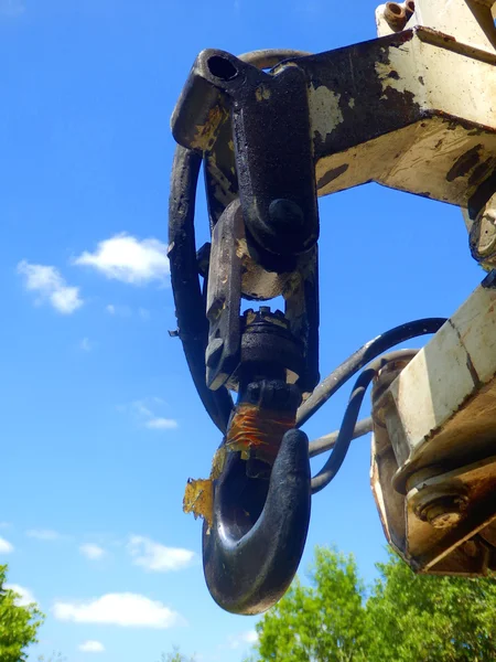 Haku żurawia — Zdjęcie stockowe