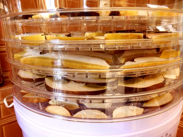 Drying Ceps — Stock Photo, Image