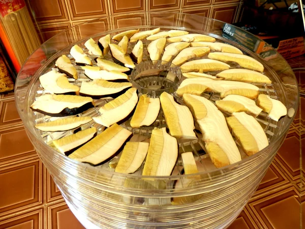 Top Layer Sliced Ceps Drying Electric Dehydrator — Stock Photo, Image