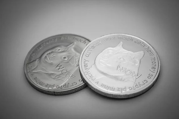 Due Dogecoins Sfondo Bianco — Foto Stock