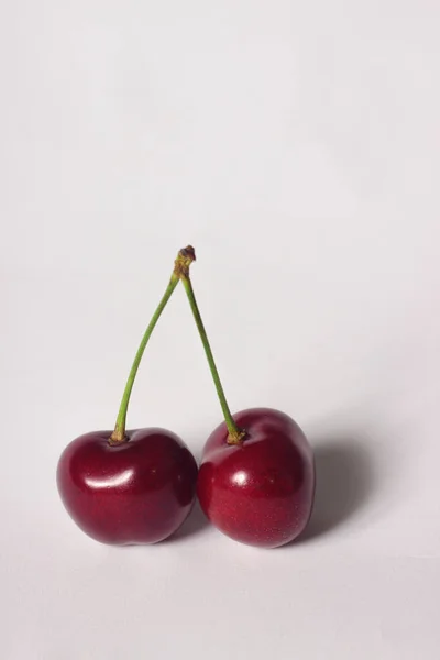 Wild Cherry Berries White Background — Stock Photo, Image