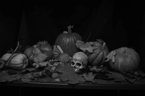 Citrouilles Chapeau Sorcière Livre Sorts Crâne Sur Une Table Halloween — Photo