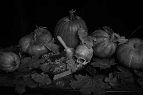 Citrouilles Chapeau Sorcière Livre Sorts Crâne Sur Une Table Halloween — Photo