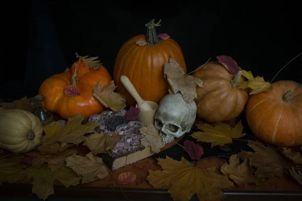 Pumpkins, witch hat, spell book and skull on a table. Halloween eve concept.