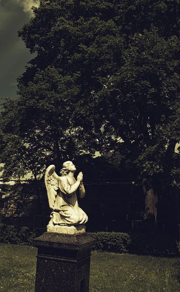 Estátua do anjo — Fotografia de Stock